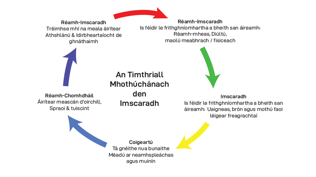 oseas-cycle-070-ga Overseas Cycle Image Irish
